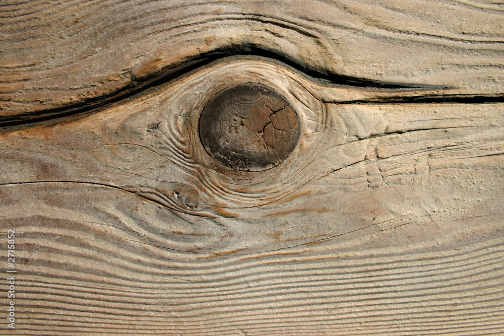 close up of a knot and rings in a wooden fence