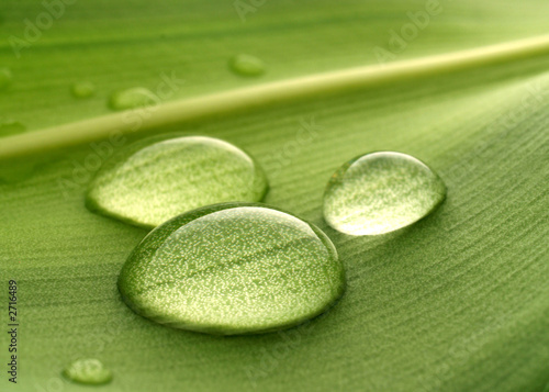 water drops