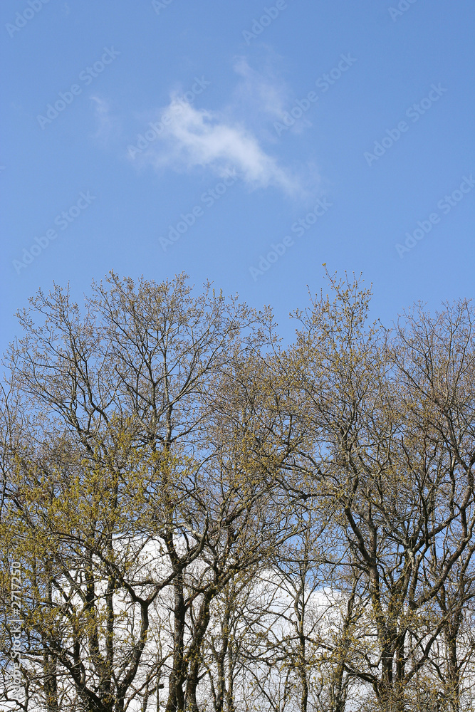 un nuage passant un nuage passant