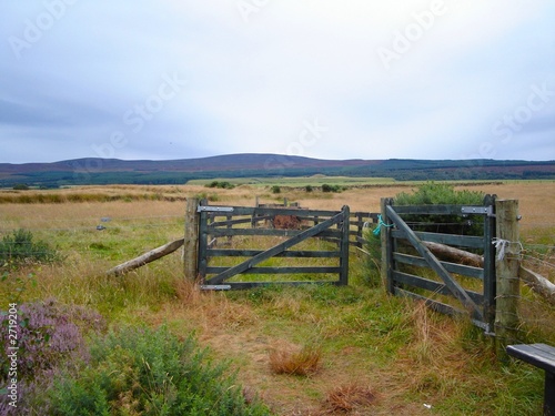gates and fields scotland