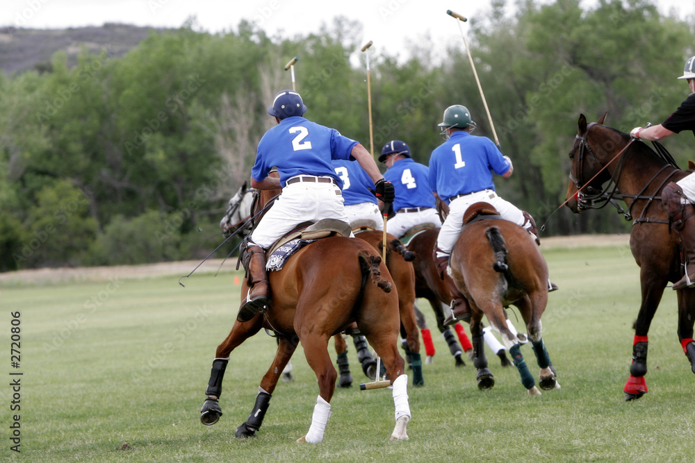 polo teammates chasing