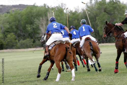 polo teammates chasing © Lincoln Rogers