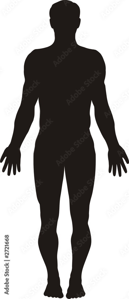 human body silhouette - obrazy, fototapety, plakaty 