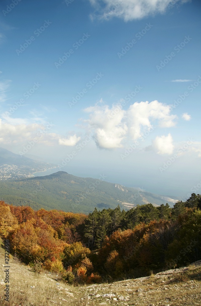 Fototapeta premium autumn