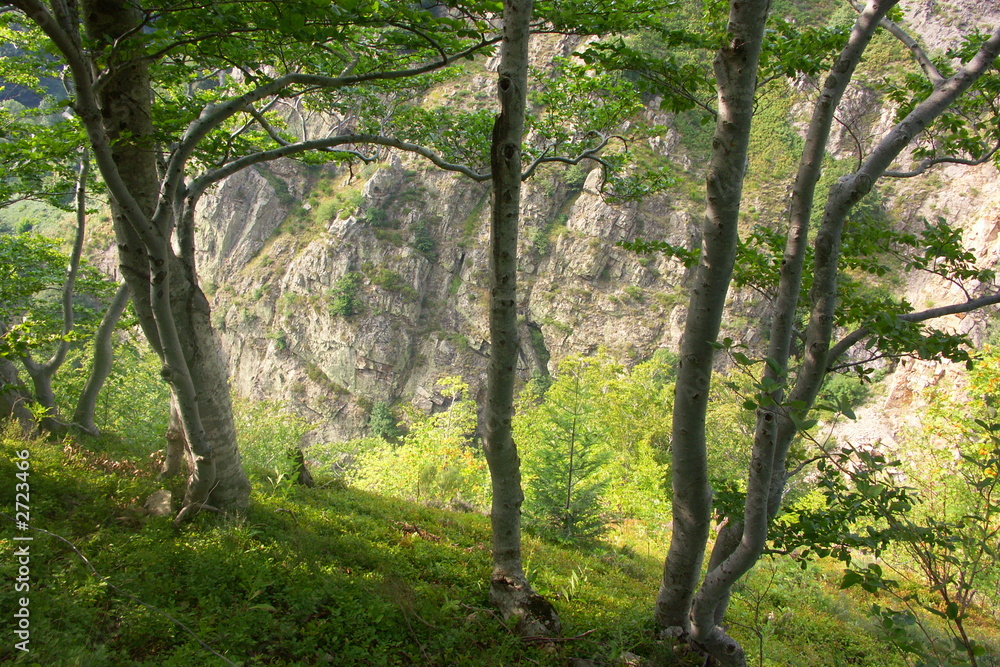 cascade dans les bois cascade dans les bois