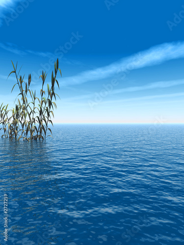 water_plant_v