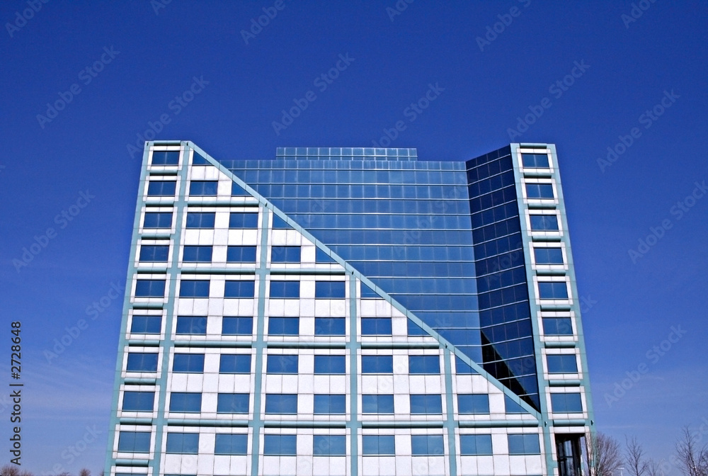 Fototapeta premium office building