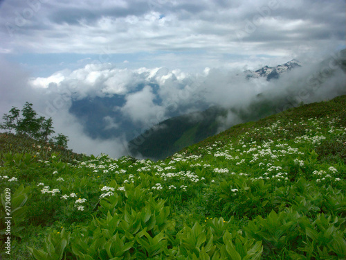 under clouds-2