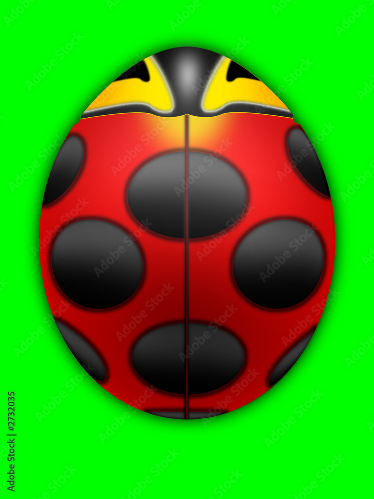 Naklejka premium beautiful insects