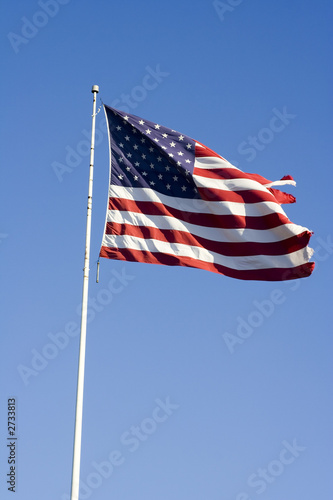 independence day flag