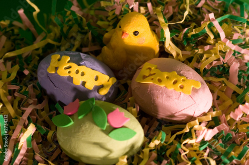 happy easter chick