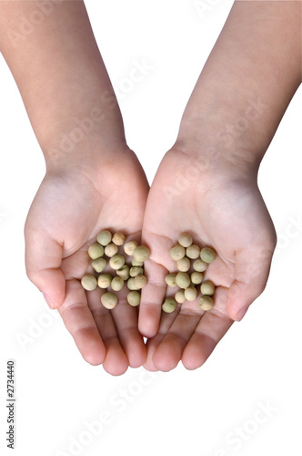 holding seeds