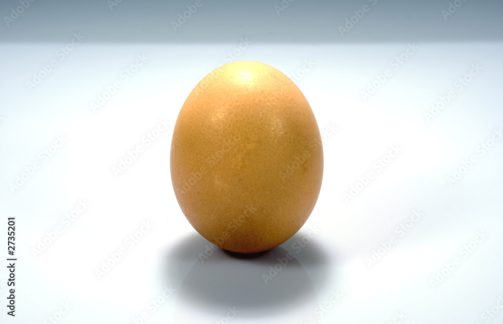 egg egg