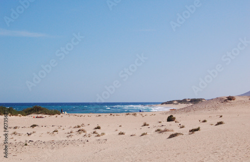 sand dunes beach © photoinsel