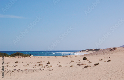 sand dunes beach