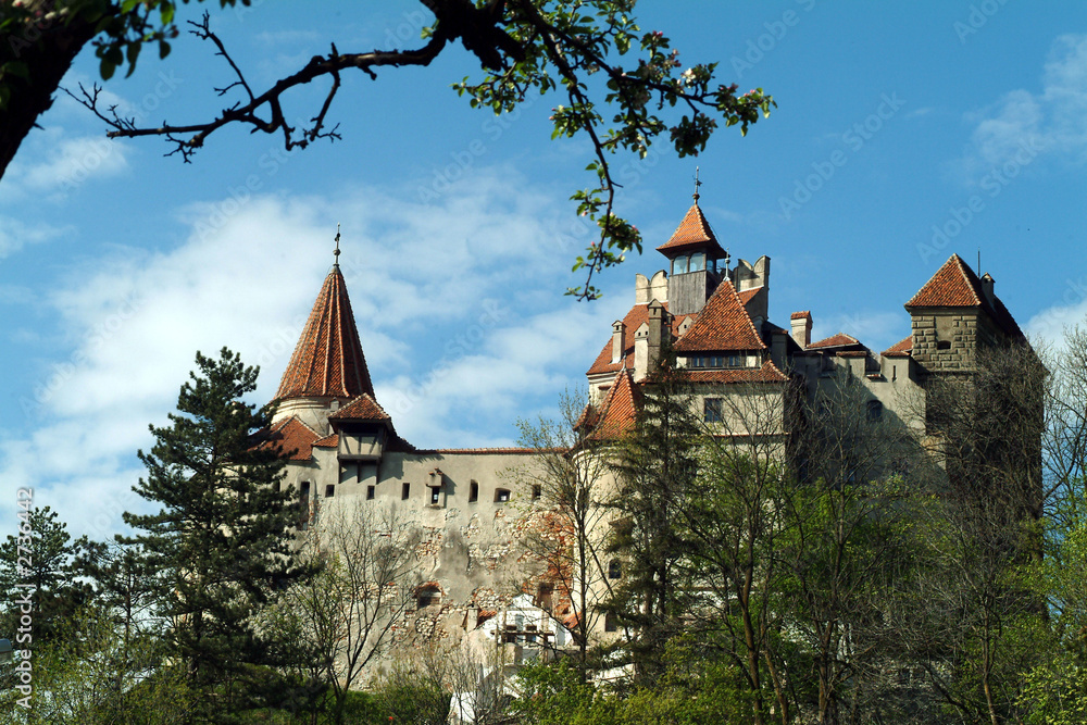 dracula castle dracula castle
