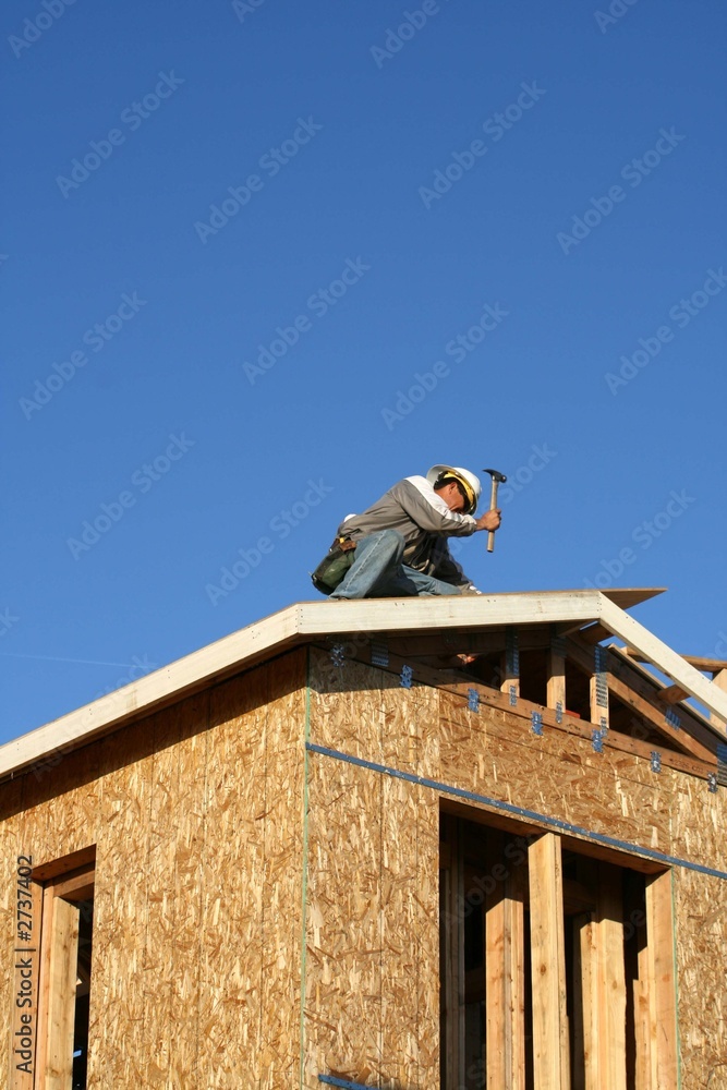 carpenter, carpenter,