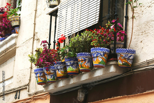 colourful window pots
