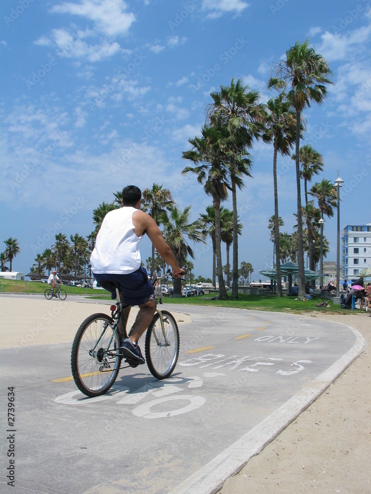 Fototapeta premium venice beach bike path