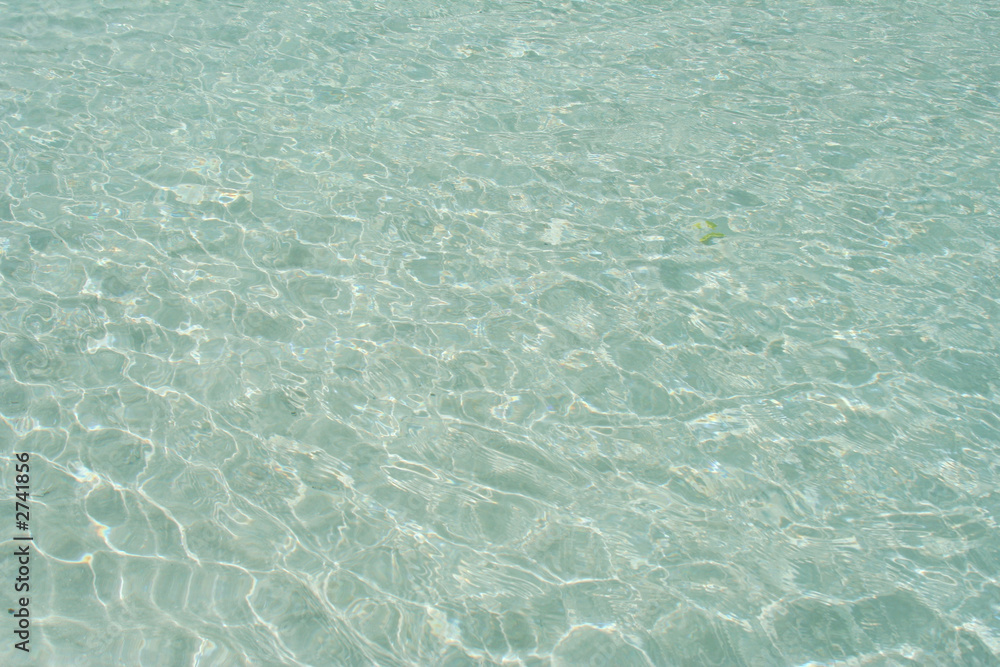 exquisite caribbean exquisite caribbean