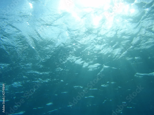 underwater, looking up