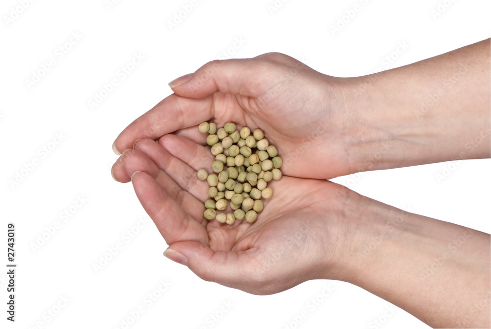 two hands holding seeds two hands holding seeds