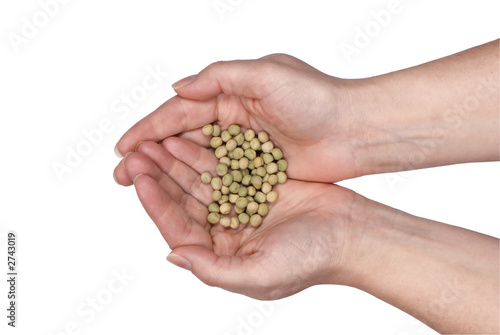 two hands holding seeds