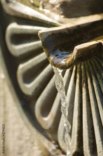wasserspeier
