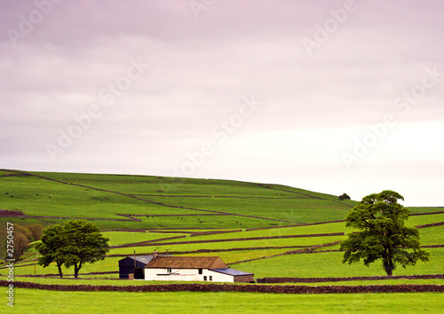 white house on the landscape