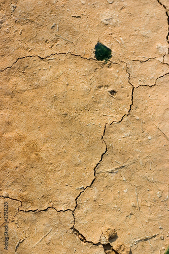 cracked earth