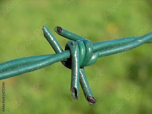 Obraz na plátně alambrada verde