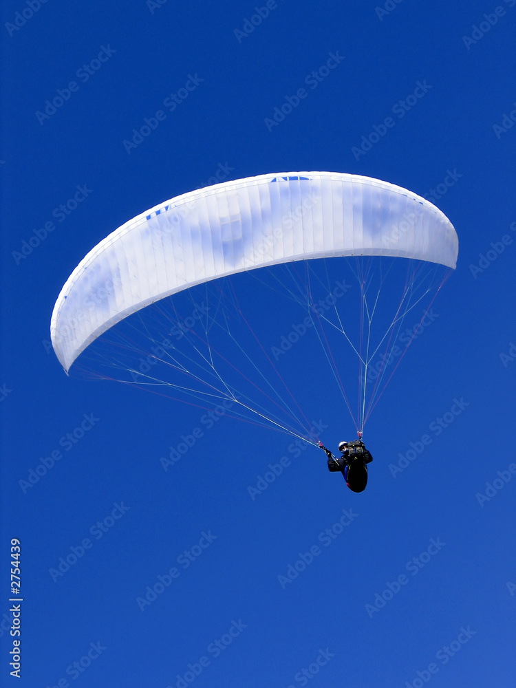 parasailer
