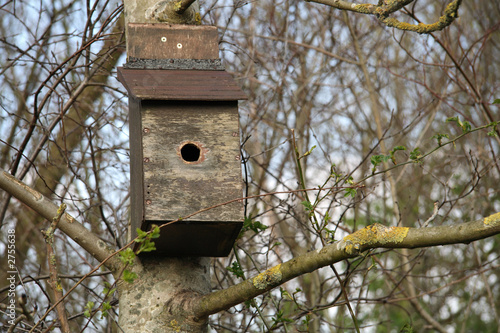 birdbox fix to a tree