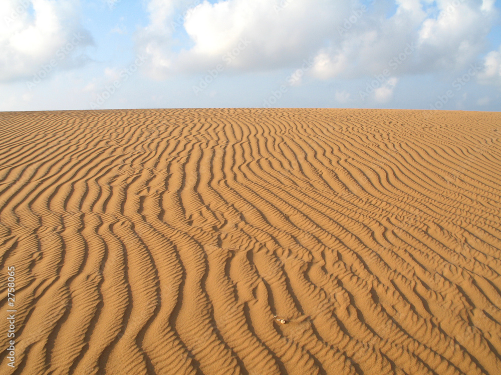 sand wave sand wave