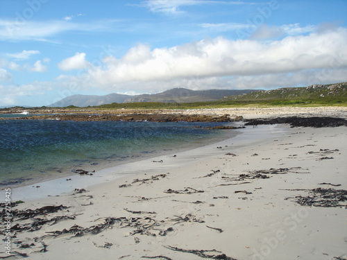 cape point, cape town, south africa