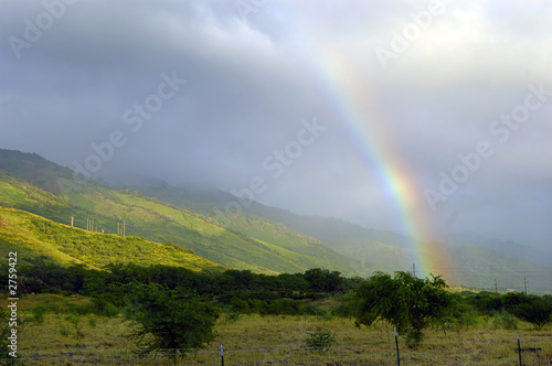 tropical rainbow