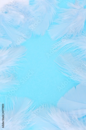 feathers