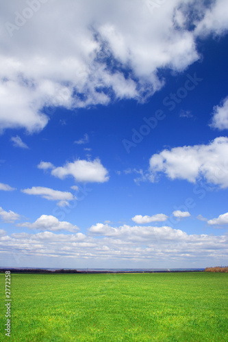 green field, blue sky - lands