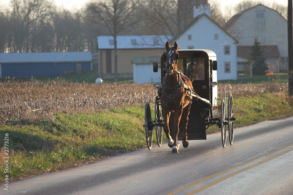 Obraz premium amish horse and buggy