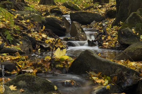 streams in the autumn
