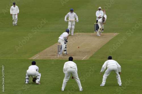 cricket action photo