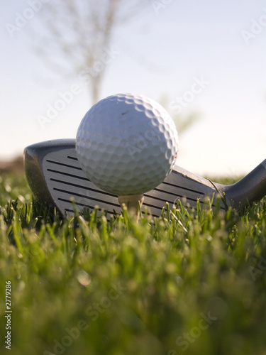 golf ball
