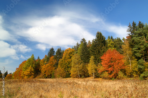 autumn