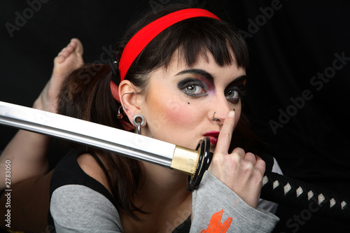 Obraz na plátně katana9