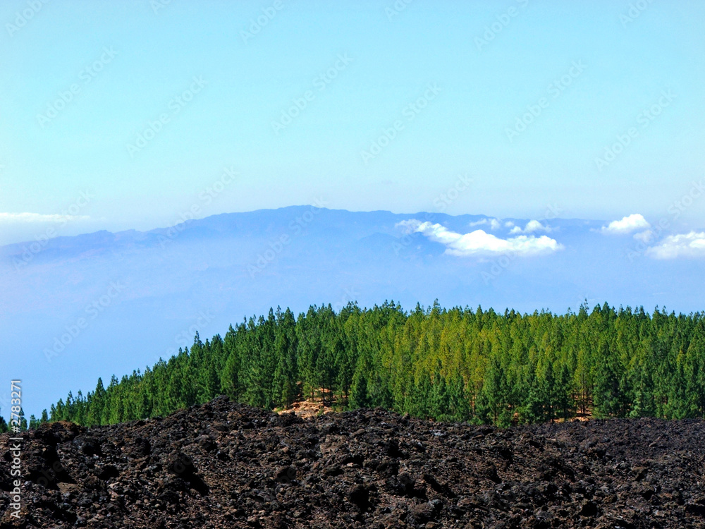 Obraz premium tenerife