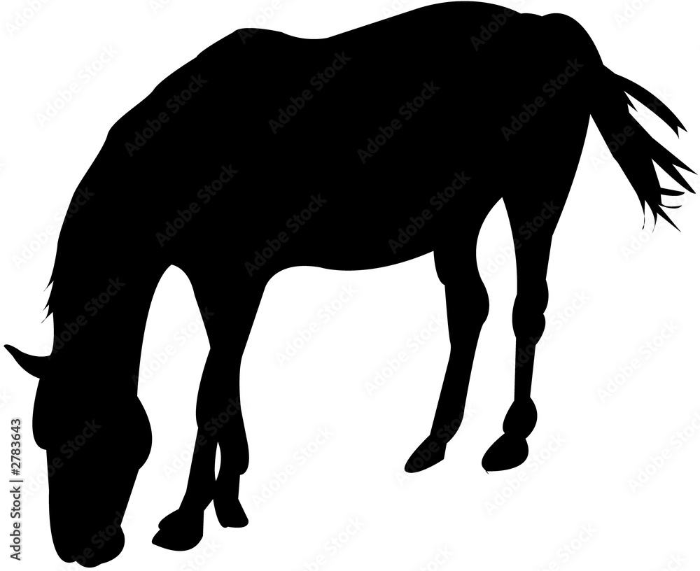 Fototapeta premium horse silhouettes