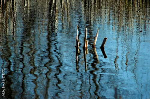 reflecting reeds