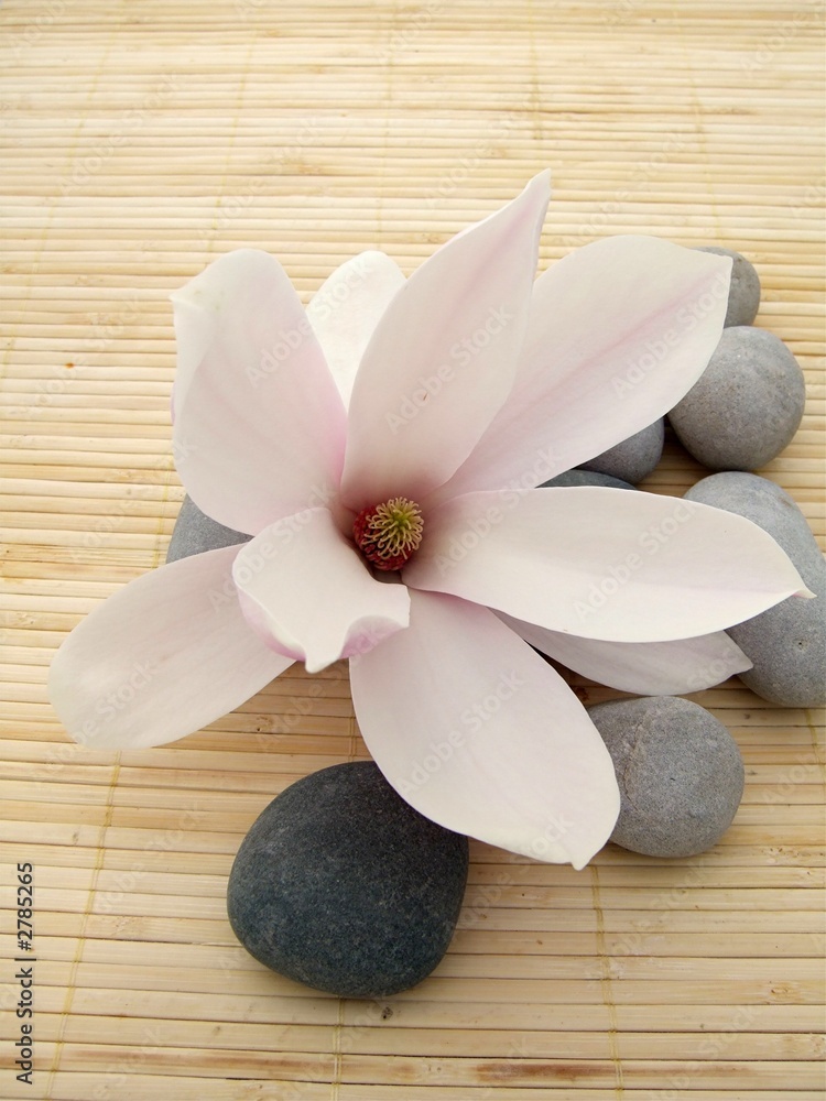 Naklejka premium harmonie