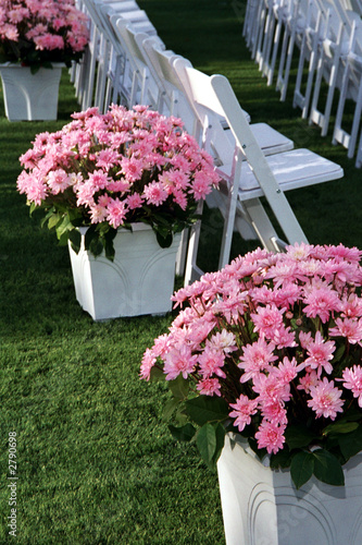 wedding chairs with pink flowers