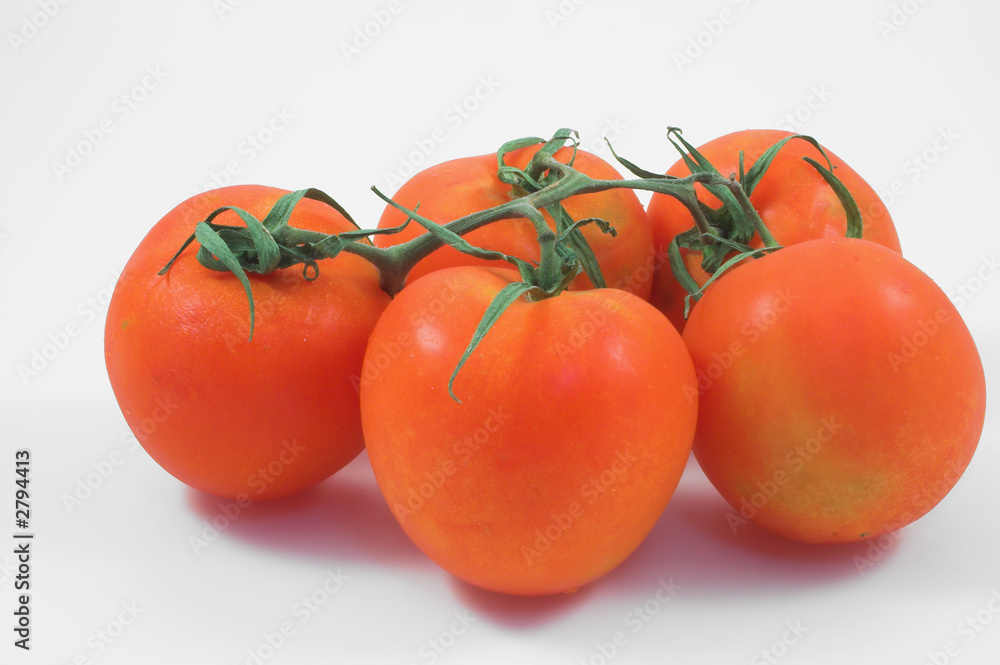 tomatoes